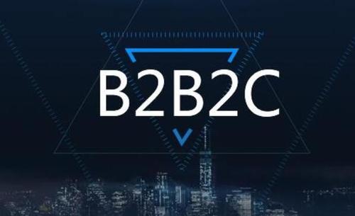 b2b2c商城系统如何选择? - 领客科技